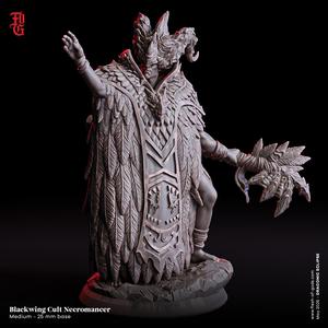 Blackwing Cult Necromancer