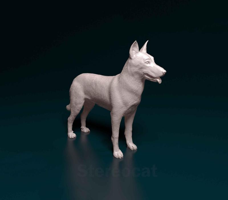 Bauceron
