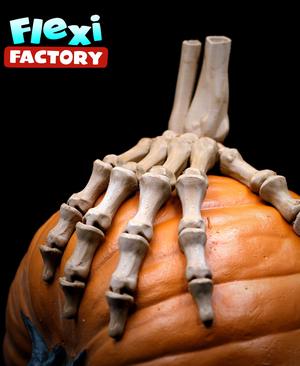 Flexi Factory Skeleton hand with XL version Included! (long and short bones)
