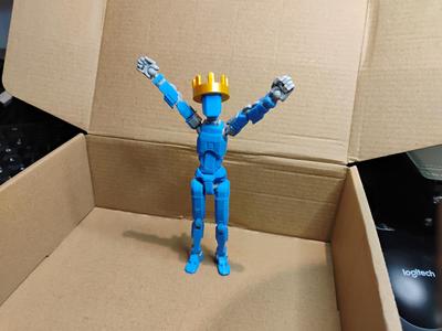 Dummy 13 Crown