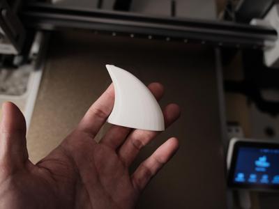 Shark Fin
