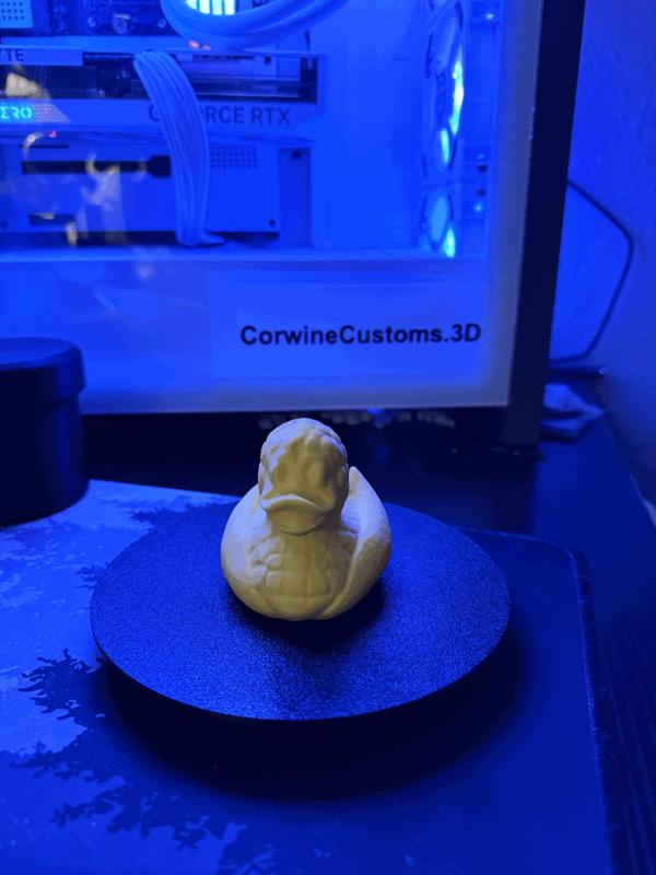 Corn Duck