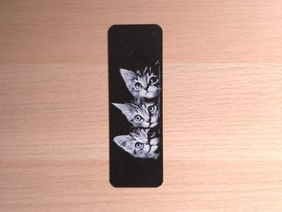 Kittens Curious Bookmark