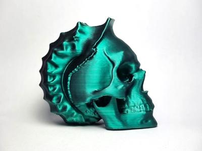 Conch Skull