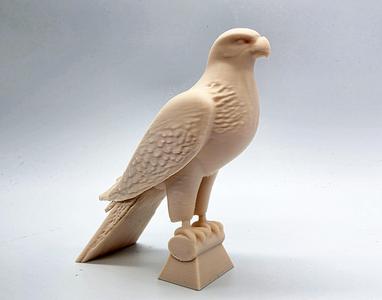 Falcon on Perch #1