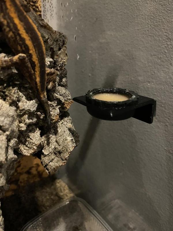 Terrarium Gecko feeder mini