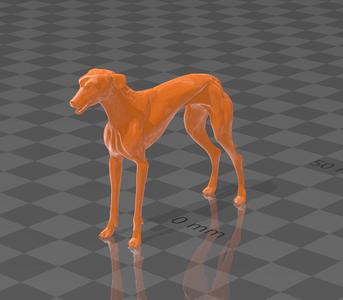 Galgo
