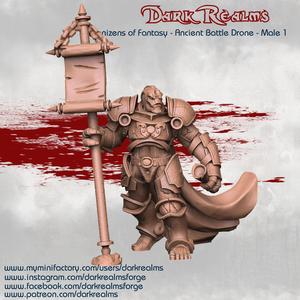 Dark Realms Denizens of Fantasy - Ancient Battle Drone Male 1