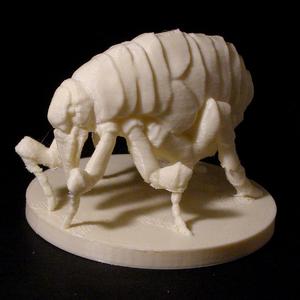 monster Flea