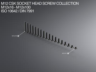 M12 CSK Socket Head Screw Collection M12x16-M12x100 ISO 10642 / DIN 7991