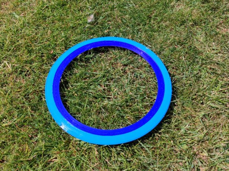 Frisbee/Flying Disc