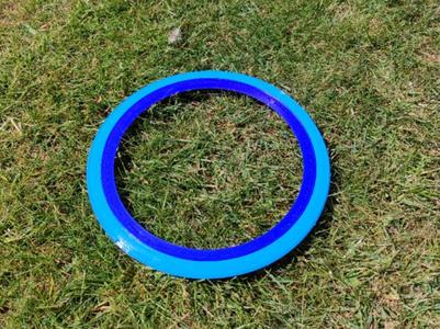 Frisbee/Flying Disc