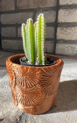 Planter Pot With Relief Pattern