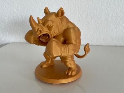 Boxing Rhino