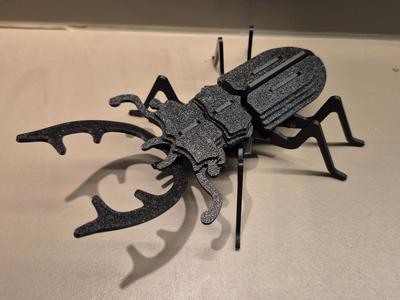 Stag Beetle 3D puzzle