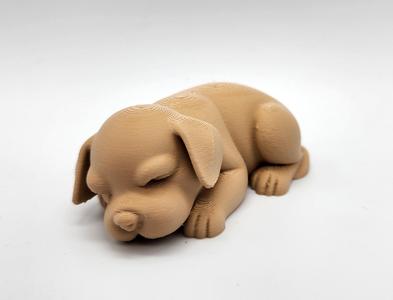 Sleeping Puppy