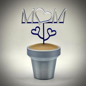 Mom Pot Plant   