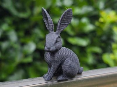 Little Bunny