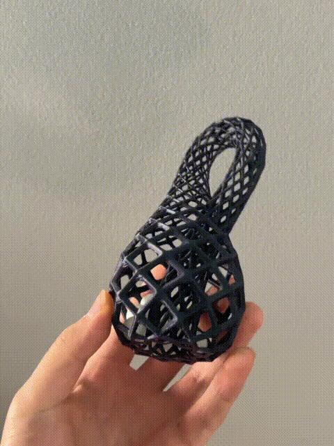Voronoi Klein Bottle