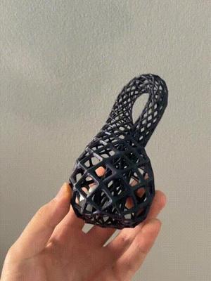 Voronoi Klein Bottle