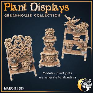 Plant Displays w/ Flower Pots