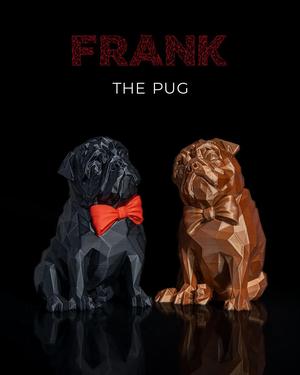 Frank, the Pug