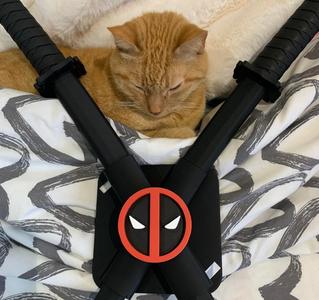 CROSS-SECTIONAL KATANA SHEATHE + DEADPOOL LOGO