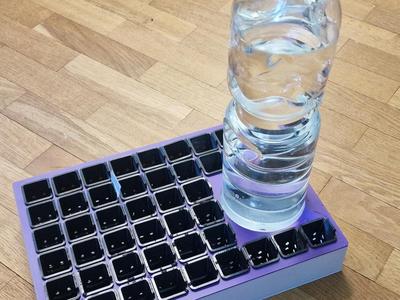 Self watering seed starter