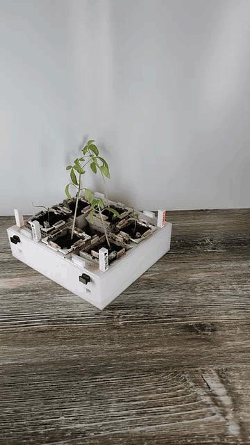 Seed Starter Tray