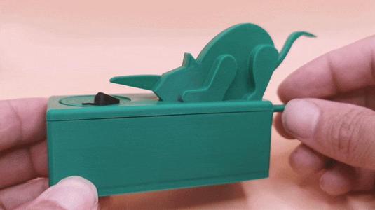 Cat And Mouse Automaton