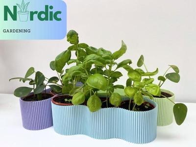 Herb Planter 