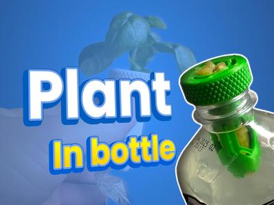 Bottle Kratky Adapter Best way to start hydroponic