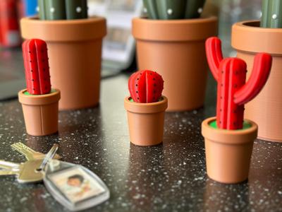 Cactus Container - No.3 - Wacky Boy