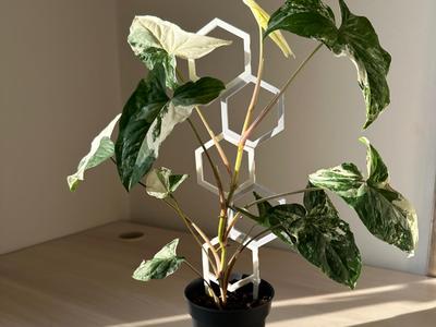 Modular Stackable Hexagonal Plant Support