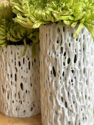 Banyan Trunk Vase (Small)