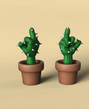 The Unfiltered Cactus
