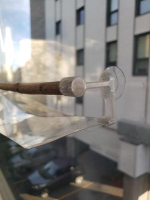 Window Perch with Guard