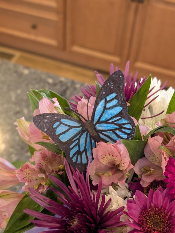 Monarch Butterfly