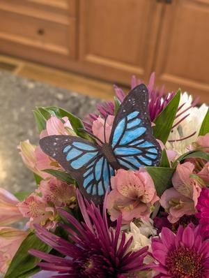 Monarch Butterfly