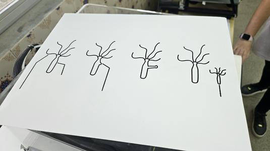 Tactile image: asexual reproduction (budding)