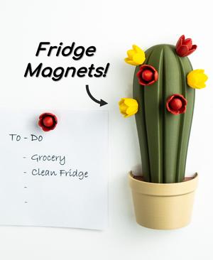 Fridge Magnet – SnapCacti - Featuring Detachable Magnet Blooms – Fun, Decorative, and Functional!