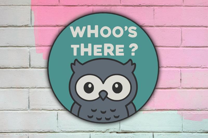 Owl Lightbox 'Whoo's there?' Owl LED Lamp