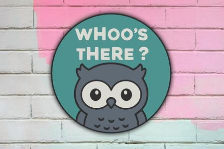 Owl Lightbox 'Whoo's there?' Owl LED Lamp
