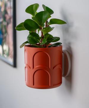 Wall Planter with Hidden Drip Tray - LG02