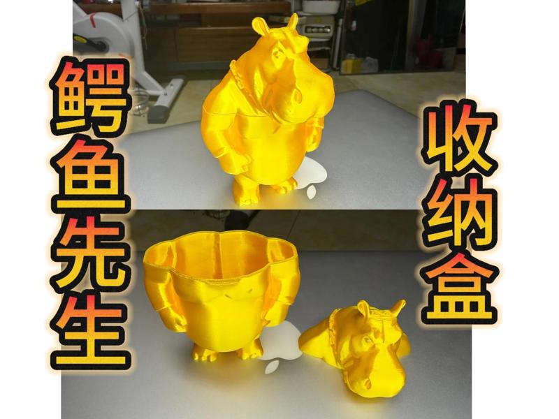 Mr Alligator Storage Box - 2025 Wang Defu Works 25