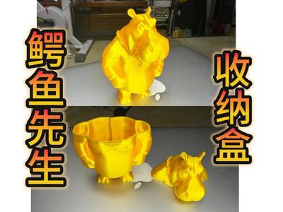 Mr Alligator Storage Box - 2025 Wang Defu Works 25