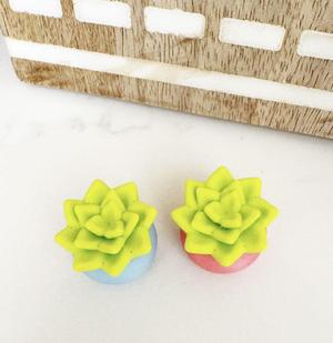 Thank You Pocket Plants and Cards- Perfect gifts for Teachers & Nurses