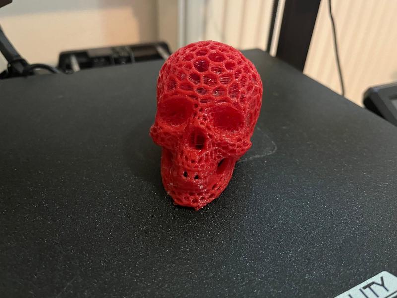 Skull!!
