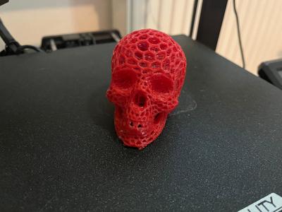 Skull!!