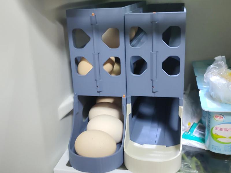 Egg Storage and Allocation Rack A1mini Version (No Supports/Hardware/Adhesive Needed)